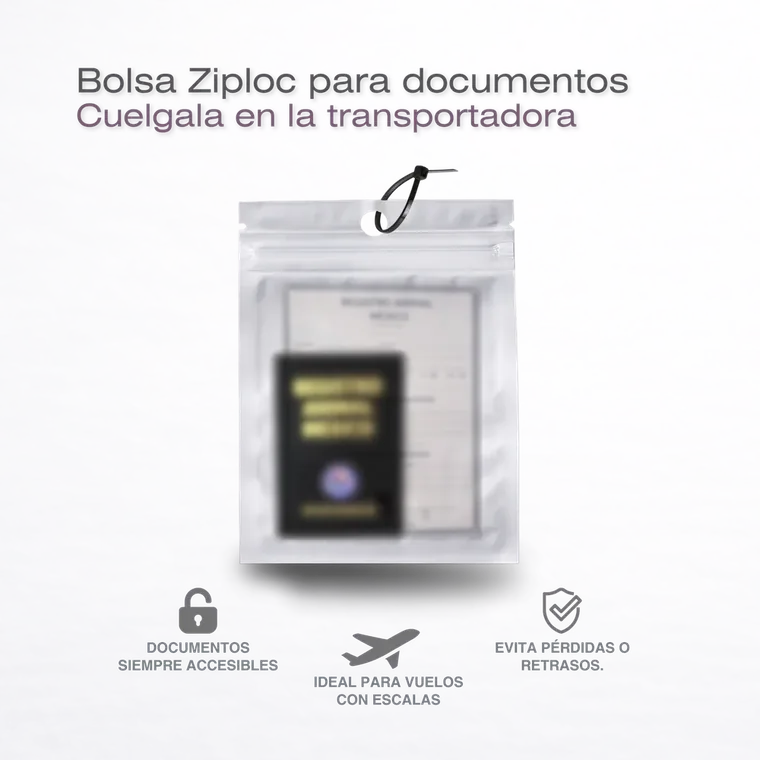 Kit Viaje Mascotas Cabina Avión Essential — foto 2