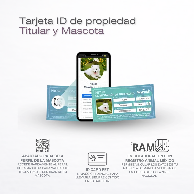 Kit Viaje Mascotas Cabina Avión Essential — foto 3