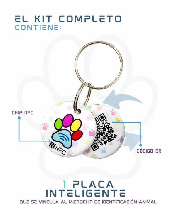 Placa inteligente Smart tag con chip NFC y codigo QR