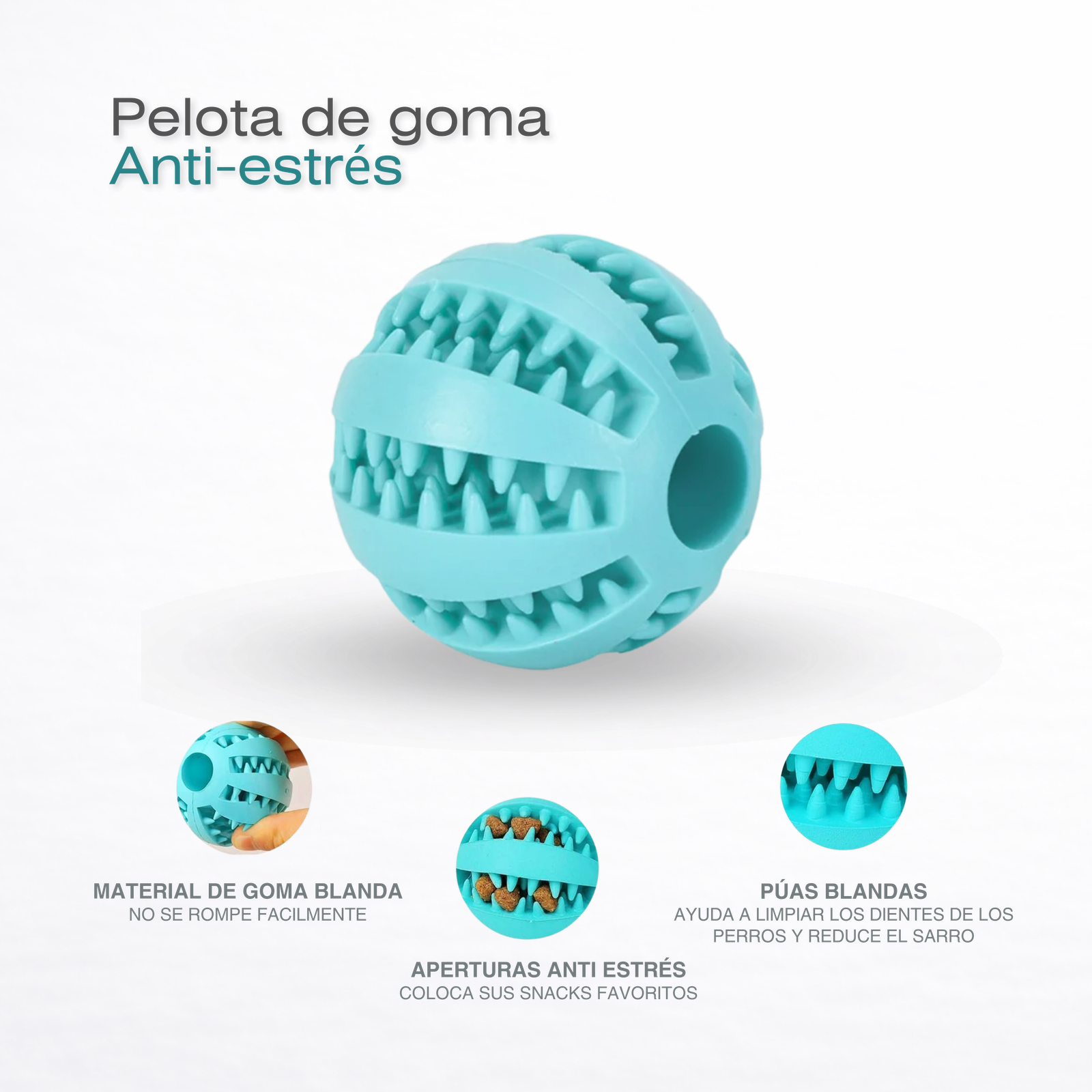 Kit Premium Viaje Mascotas Avion Cabina Y Bodega con Localizador - Imagen 12