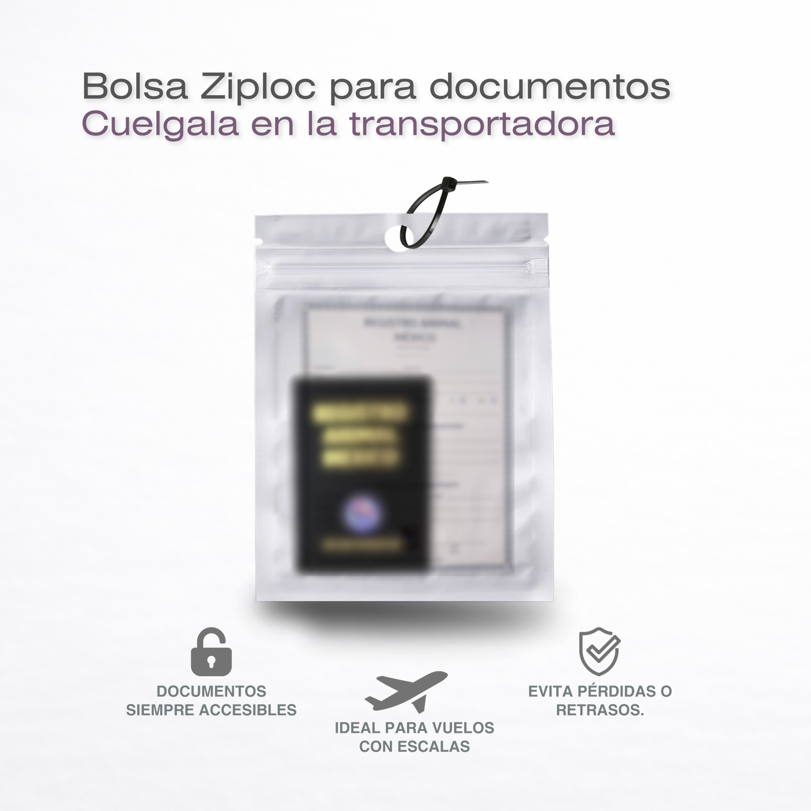 Kit Premium Viaje Mascotas Avion Cabina Y Bodega con Localizador - Imagen 10