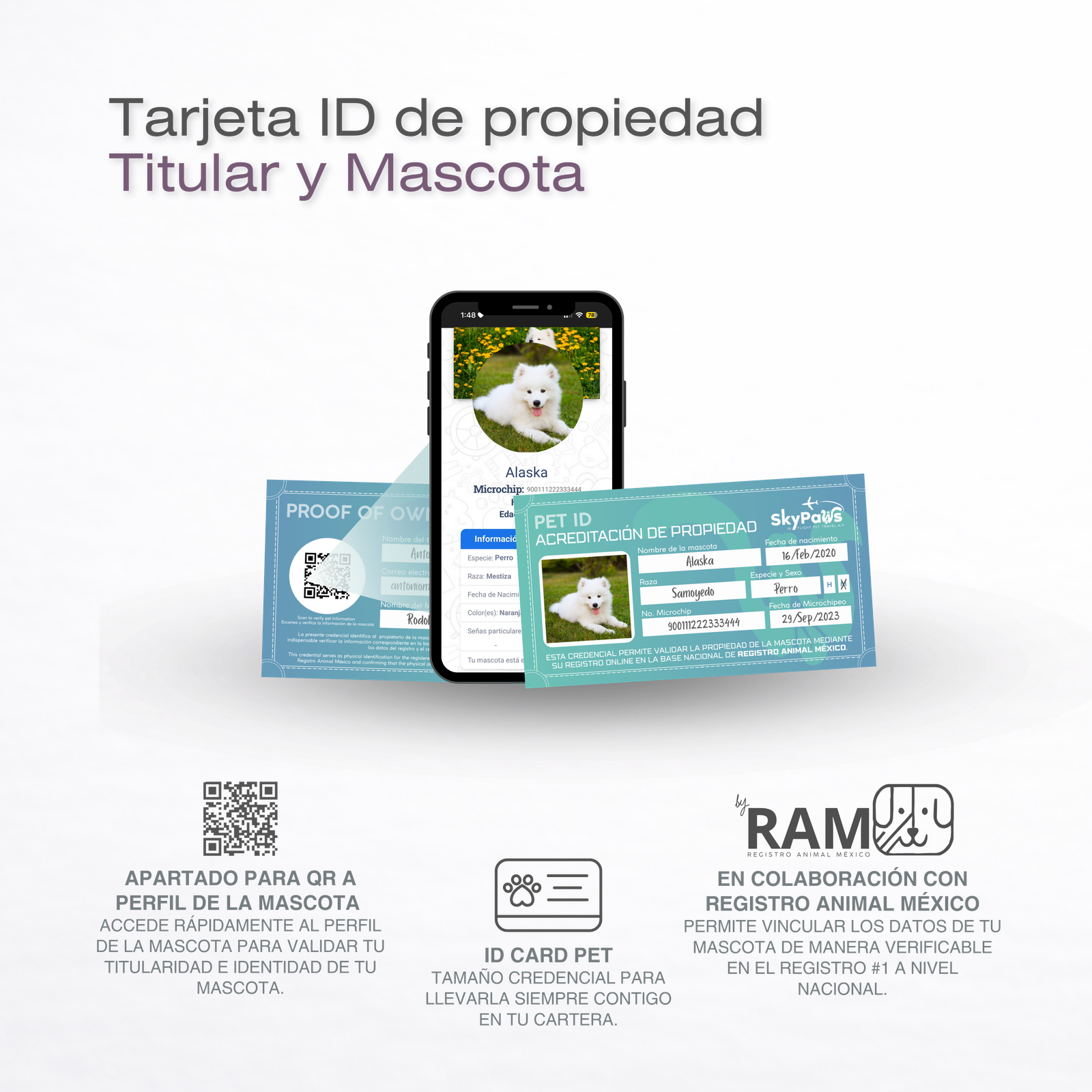 Kit Premium Viaje Mascotas Avion Cabina Y Bodega con Localizador - Imagen 11