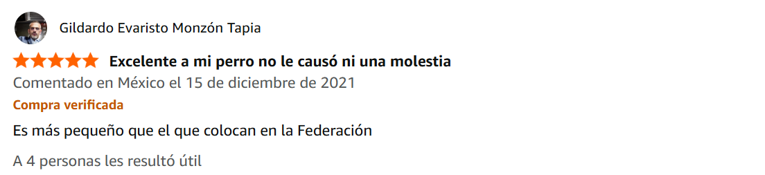 Review 10