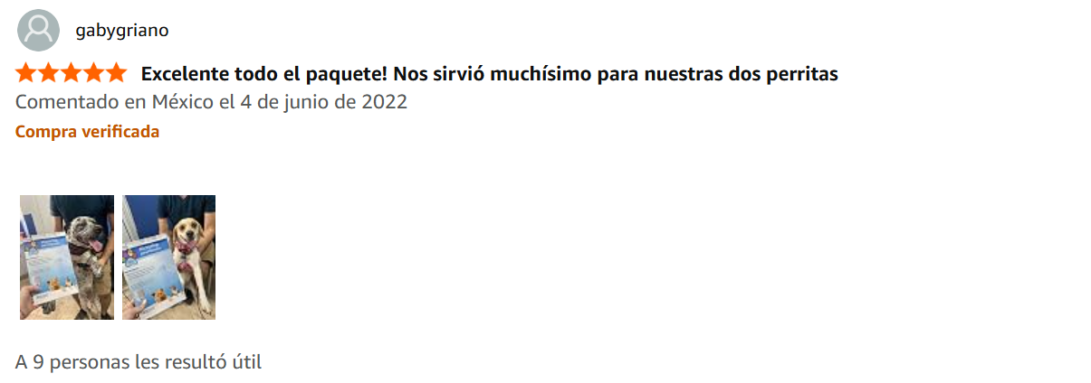 Review 11